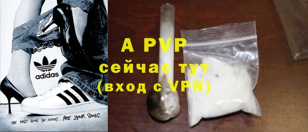 хмурый Абаза