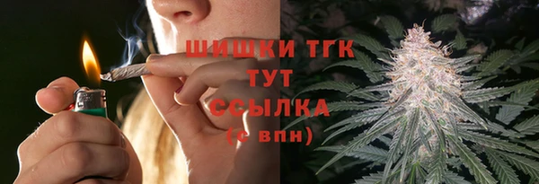 хмурый Абаза