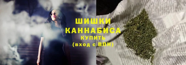 хмурый Абаза