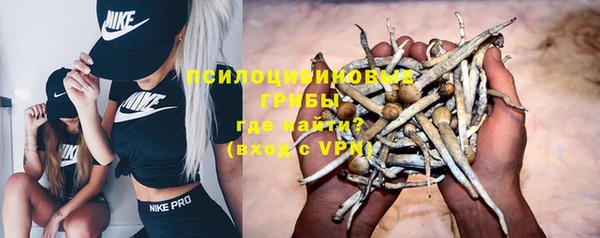 хмурый Абаза
