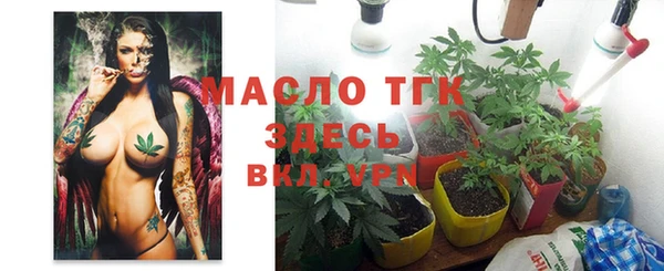 хмурый Абаза