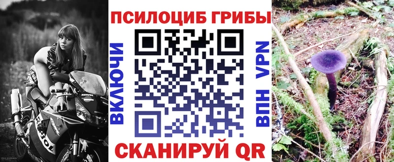Галлюциногенные грибы GOLDEN TEACHER блэк спрут рабочий сайт Задонск где купить